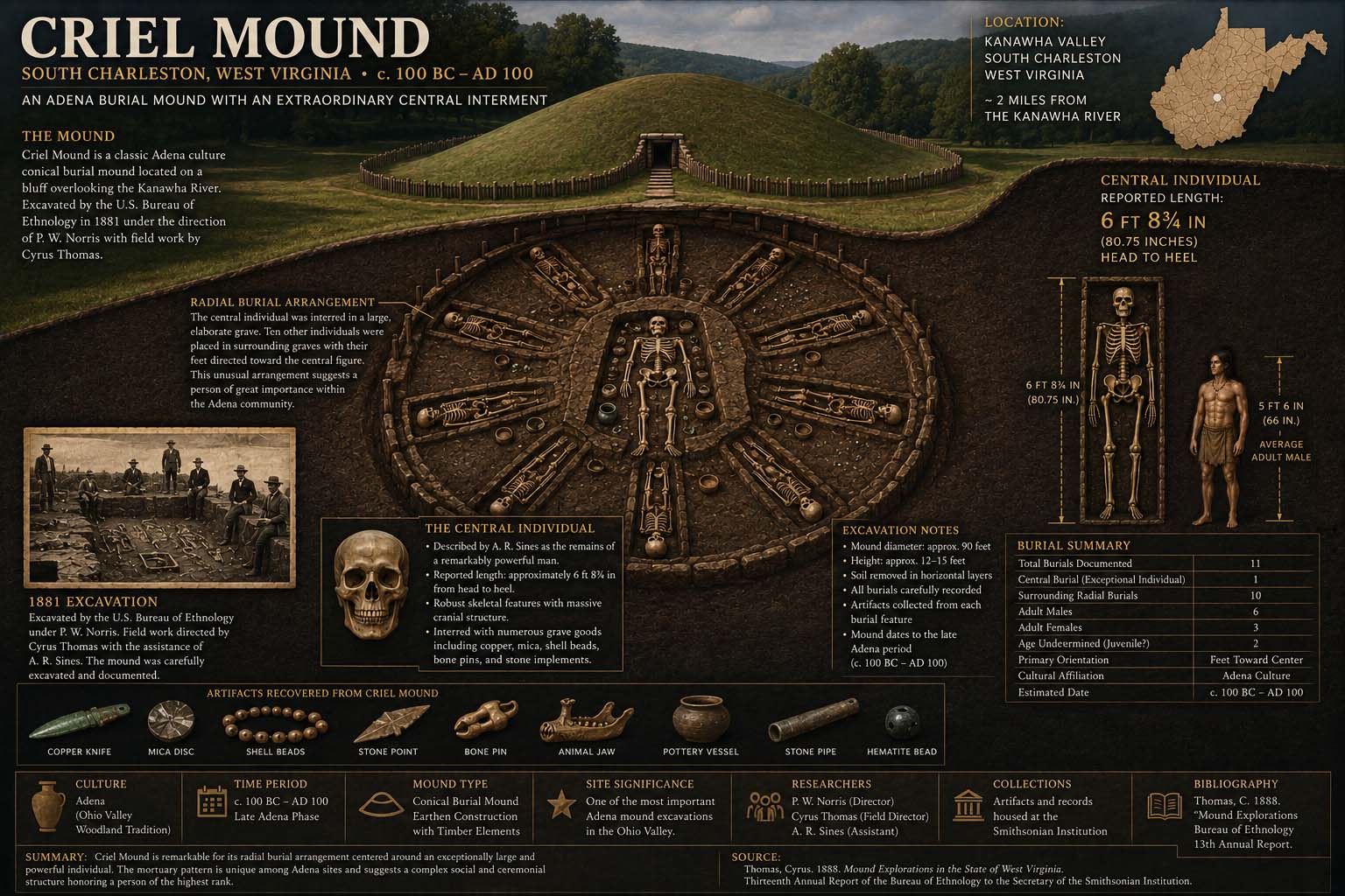 Interpretive museum illustration of Criel Mound and its central radial burial arrangement